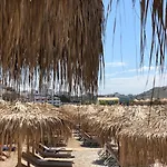 International Σαράντα