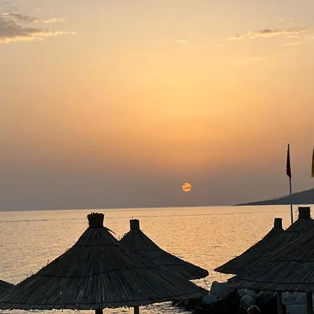 International 3* Saranda