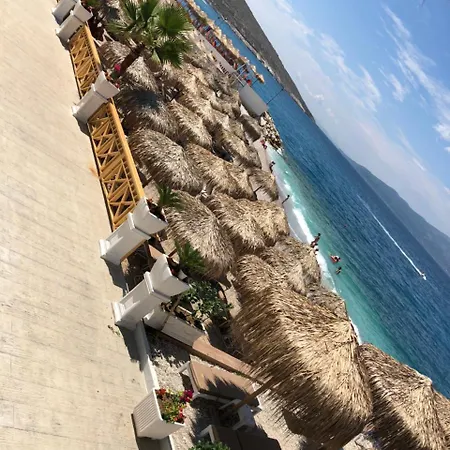 International Vendégház 3*