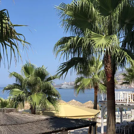 International